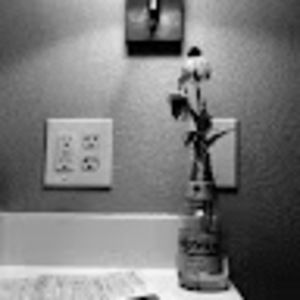 Meet your Posher, Mina